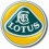 Lotus Ceinture d'origine, pour tous modèles, toutes marques, tous véhicules.